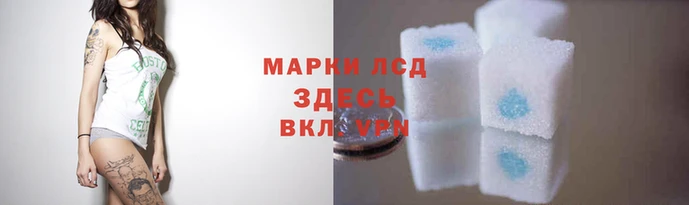 гидра Бронницы