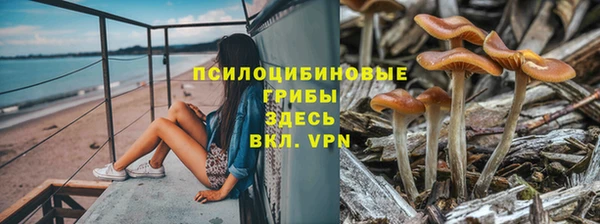 гидра Бронницы