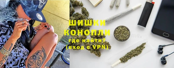 гидра Бронницы