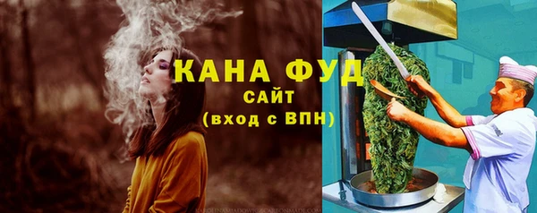 гидра Бронницы
