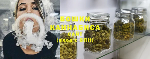 индика Богданович