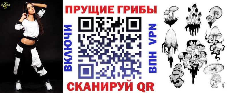 наркошоп  mega tor  Галлюциногенные грибы прущие грибы  Новосиль 